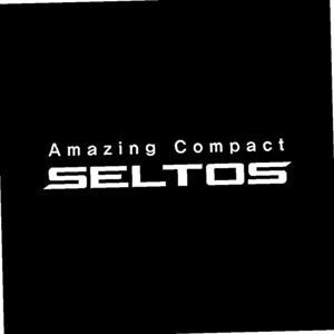 셀토스 매립형 LED 도어 라이트 2P 세트 자동차 용품