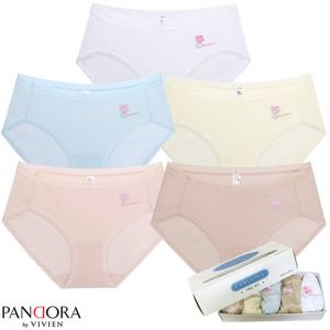 판도라by비비안 레이스 밴드 순면 요일팬티 5종 ppt1236