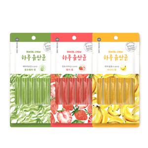 네츄럴코어 하루유산균 덴탈껌 6P 개껌