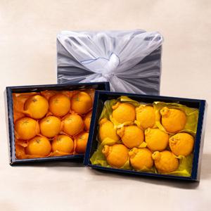 [지정일배송][보자기무료포장]제주과일 2종 선물세트(레드향 3kg+한라봉 3kg)