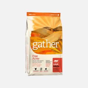 게더 캣 프리에이커 치킨 레시피 3.6kg 고양이 사료