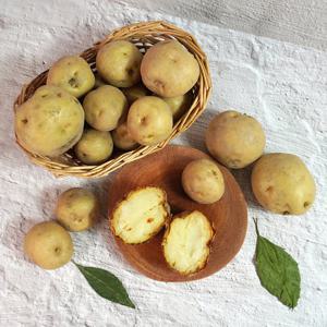 [미식한가] 해남 산지직송 수미감자 중 3kg (50-70g 내외)