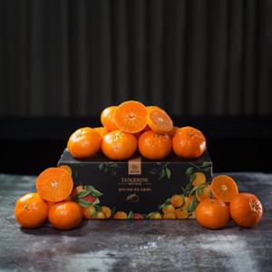 올커니마켓 제주 레드향 3kg(18~22과/1box, 중소과)