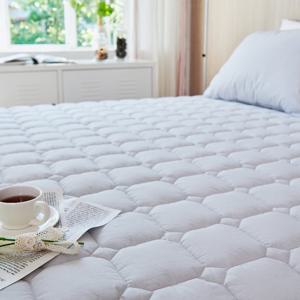 [더메종]프리모고밀도 바이오패드SS(120210)