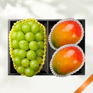 [2월4일 순차출고] 노블레스 2호 과일 혼합 선물세트 (샤인1,애플망고2)