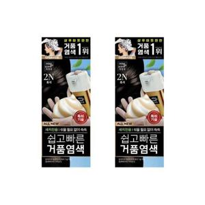 [미쟝센] 미쟝센 올뉴 쉽고빠른거품염색 2N 흑색 2개