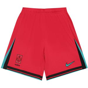 나이키 코리아 드라이 핏 스타디움 홈 쇼츠 국대 유니폼 (FJ4306-679)