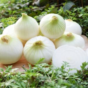 [팔도농장] 달큰한 무안 햇 양파(특) 3kg