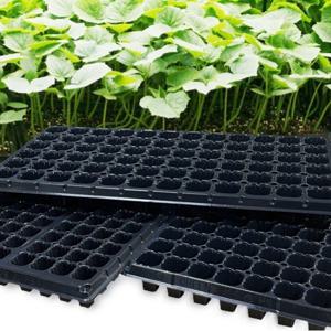 가정 육묘용 트레이 8.5T 105구 100장 . 모종판 모판 모종 포트 육묘판.