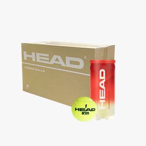 헤드 챔피언쉽 1박스 36캔 테니스공 KTA시합구