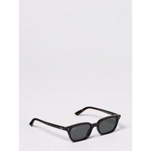 레이밴 선글라스 4456 135987 Brown