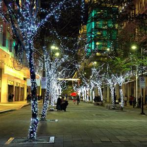 트리전구 300구 투명선 LED 백색 지니전구