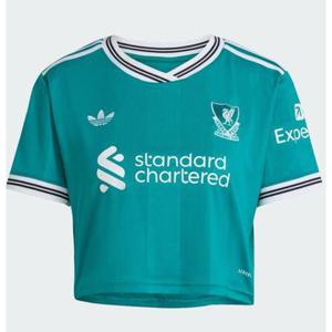 아디다스 반팔 티셔츠 JV6492 Sea Green DOM