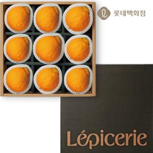 [일품채]엘프르미에 프레스티지 써니트 세트 (3kg / 한라봉9) (25)