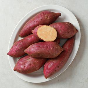 [농협청과33번] 호박고구마 호풍미 10kg 왕특(300g내외)