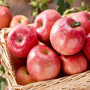 경북 햇 부사 사과 가정용 3kg 12-18과내외