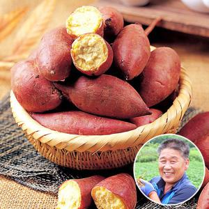 해남 김형식님의 밤고구마 3kg(중상)