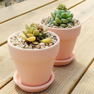 아트박스/진바스 토분받침대 다육화분 2종세트