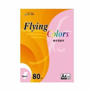 아트박스/오피스큐 플라잉컬러 패럿 P46 A4 80g 초콜릿색 25매