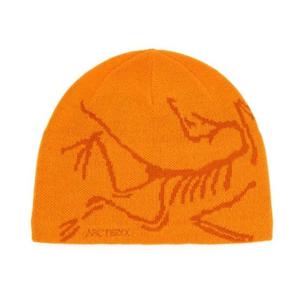 아크테릭스 모자 비니 허드 헤드 토크 AEPFU06756/BCQ