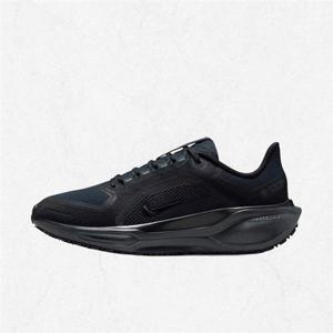 나이키 여성 페가수스 41 GORE-TEX FQ1357-001 2529789