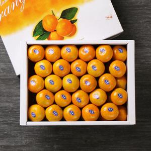 [작심밀도]빛과나무 제주하우스감귤 3kg(49내/특품)