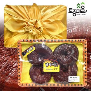 [토종마을]국내산 영지버섯 선물세트 300g (보자기포장)