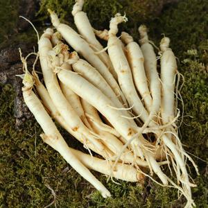 금산 황금농장 삼계탕/갈비탕용 세척 인삼(소) 700g