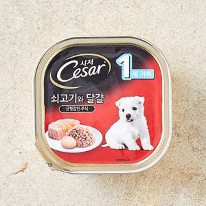 시저 퍼피 쇠고기/계란과 당근 캔 100g 강아지 사료