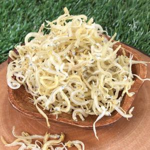 서해안 실치 1kg 말린실치 건실치 볶음멸치 멸치 뱅어