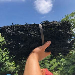 완도 미역 500g / 건미역 마른미역 말린미역 산모미역