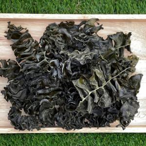 완도 미역귀 500g / 건미역귀 산모미역 마른미역 미역
