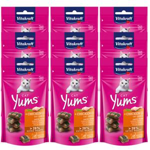 비타크래프트 캣얌 치킨&캣그라스 40g 1BOX 9개