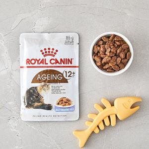 로얄캐닌 에이징 12+ 젤리 파우치 85g 고양이 사료
