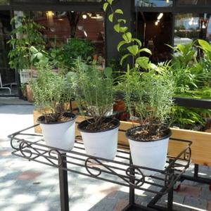 베란다 화분걸이 중 66x24cm+깔망 2장 베란다 선