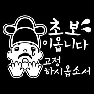 자동차 초보운전 아기스티커_초보이옵니다