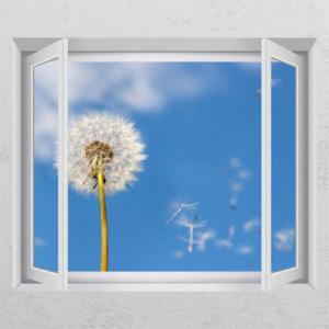 아트박스/꾸밈 cg617-외로운민들레홀씨_창문그림액자