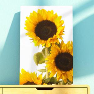 아트박스/꾸밈 th199-아크릴액자_활짝핀해바라기꽃
