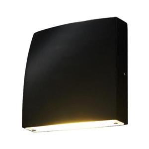 아트박스/퍼플스토리 LED 코코 BR C형