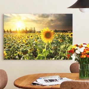 아트박스/꾸밈 ct027-노을아래해바라기_중형노프레임