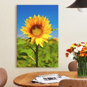 아트박스/꾸밈 ct030-활짝핀해바라기_중형노프레임