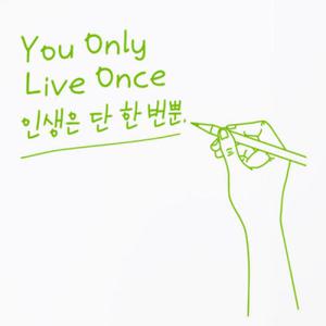 아트박스/꾸밈 cs253-인생은단한번뿐_그래픽스티커