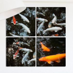 아트박스/꾸밈 if383-멀티액자_풍수잉어