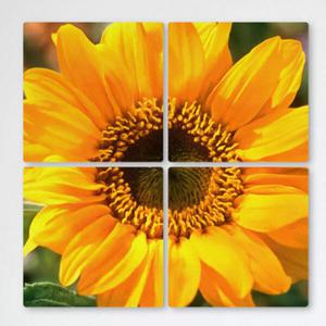 아트박스/꾸밈 cf355-멀티액자_수채화해바라기