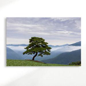 아트박스/꾸밈 cr285-아크릴액자_건강과장수의상징소나무(대형)