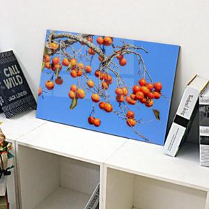 아트박스/꾸밈 tc203-아크릴액자_돈들어오는감그림(대형)