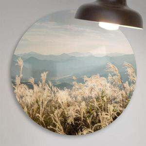 아트박스/꾸밈 ci608-원형아크릴액자_갈대숲풍경