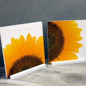 아트박스/꾸밈 ce367-스탠드액자2P_행복의노란해바라기