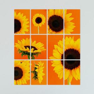 아트박스/꾸밈 tb308-멀티액자_여러각도에서본해바라기