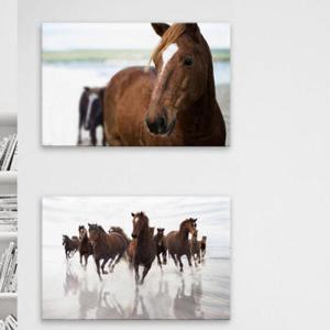 아트박스/꾸밈 pa440-아크릴액자_달리는말(대형)